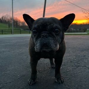 Meet your Posher, Jordan